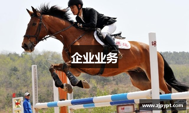 企业业务